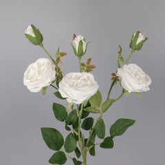 6 Heads Austin Rose Spray White