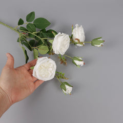 6 Heads Austin Rose Spray White