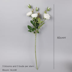 6 Heads Austin Rose Spray White