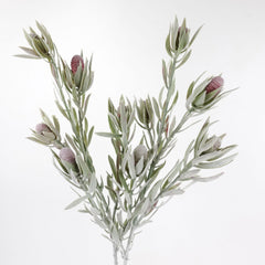 Artificial 5 Heads Native Protea Leucadendron Spray