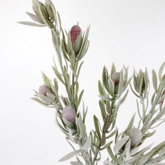 5 Heads Native Protea Leucadendron Spray