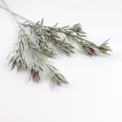 5 Heads Native Protea Leucadendron Spray