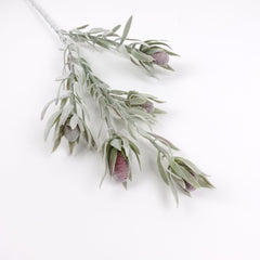 5 Heads Native Protea Leucadendron Spray