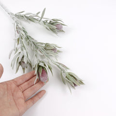 5 Heads Native Protea Leucadendron Spray