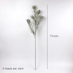 5 Heads Native Protea Leucadendron Spray