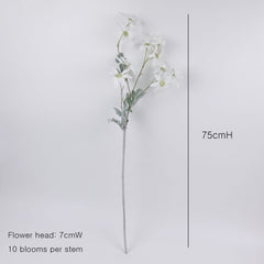 10 Heads Flannel Flower Long Stem