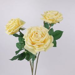 Real Touch Big Head Garden Rose Stem in Yellow