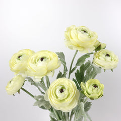 3 Head Ranunculus Stem in Yellow 50cmH