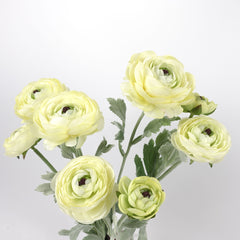 3 Head Ranunculus Stem in Yellow 50cmH