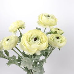 3 Head Ranunculus Stem in Yellow 50cmH