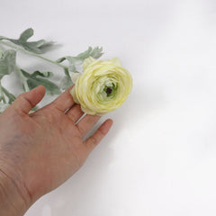 3 Head Ranunculus Stem in Yellow 50cmH