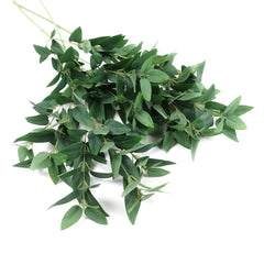 Ruscus Leaf Spray 68cmH