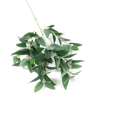 Ruscus Leaf Spray 68cmH