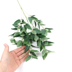 Ruscus Leaf Spray 68cmH