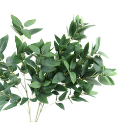 Ruscus Leaf Spray 68cmH