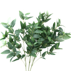 Ruscus Leaf Spray 68cmH
