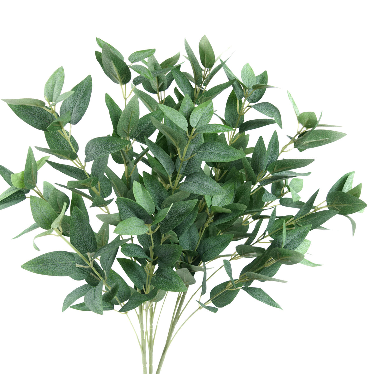 Ruscus Leaf Spray 68cmH