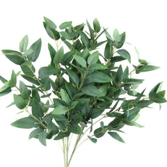 Ruscus Leaf Spray 68cmH