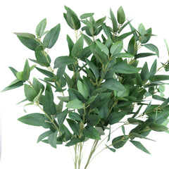 Ruscus Leaf Spray 68cmH