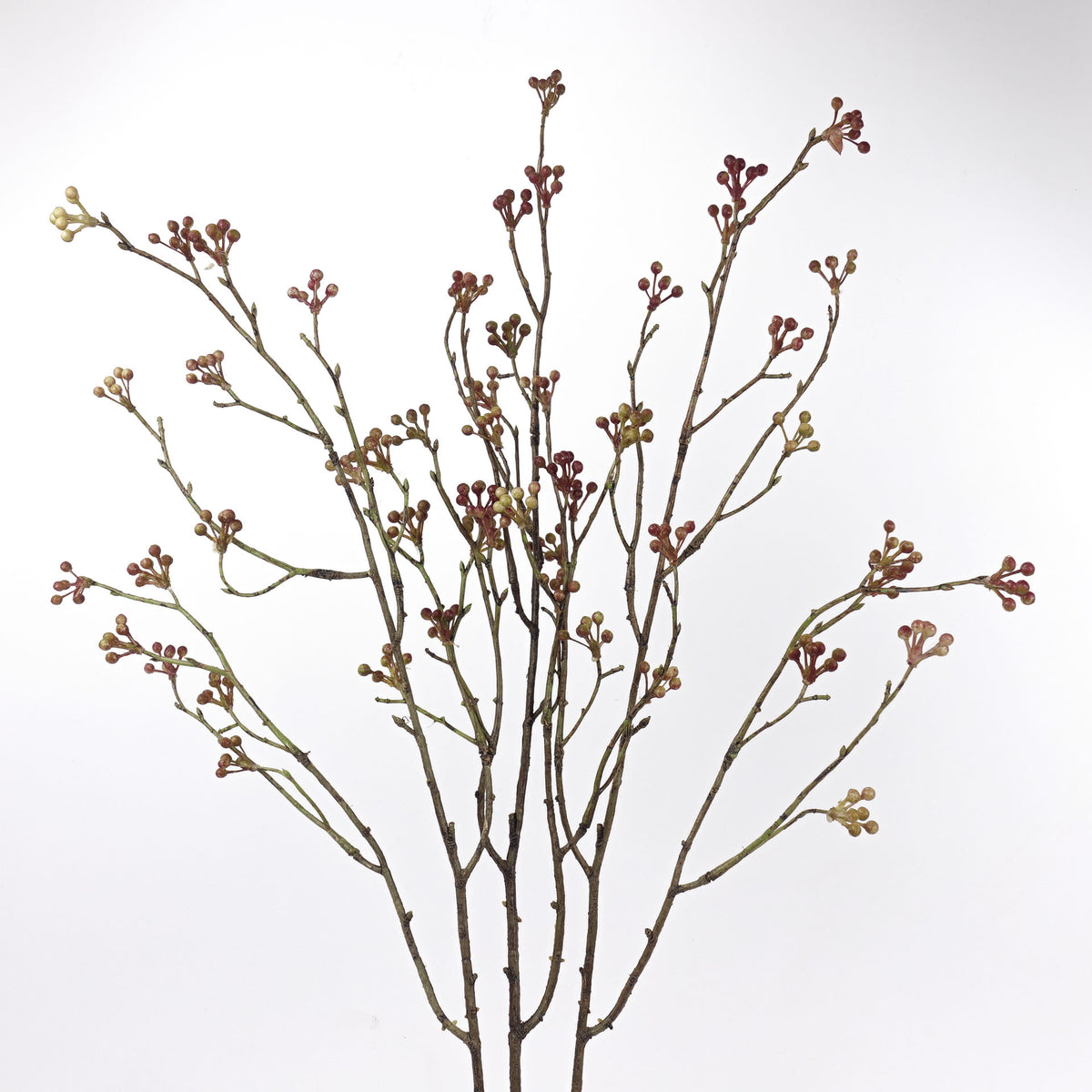 Seeded Willow Twig Branch 75cmH