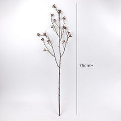 Seeded Willow Twig Branch 75cmH