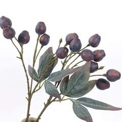 Eucalyptus Gum Nut Branch 48cmH