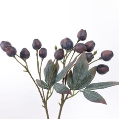 Eucalyptus Gum Nut Branch 48cmH