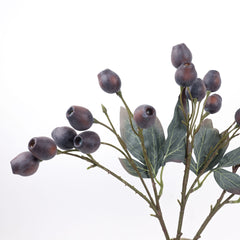 Eucalyptus Gum Nut Branch 48cmH