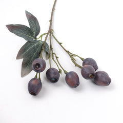 Eucalyptus Gum Nut Branch 48cmH