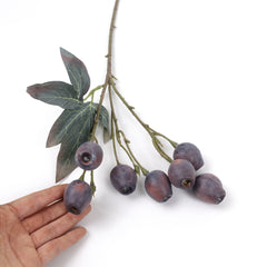 Eucalyptus Gum Nut Branch 48cmH