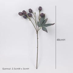 Eucalyptus Gum Nut Branch 48cmH