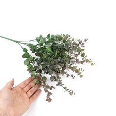 Eucalyptus Bush in Bugrundy Green