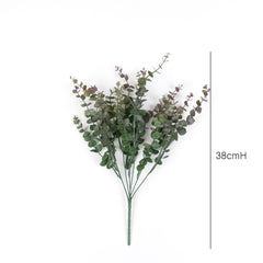 Eucalyptus Bush in Bugrundy Green