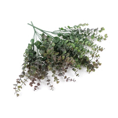 Eucalyptus Bush in Bugrundy Green