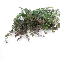 Eucalyptus Bush in Bugrundy Green