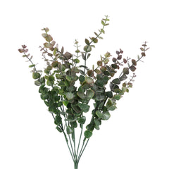 Eucalyptus Bush in Bugrundy Green