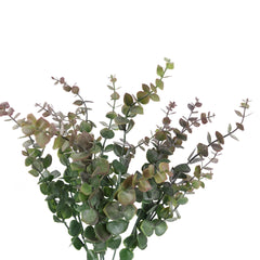 Eucalyptus Bush in Bugrundy Green