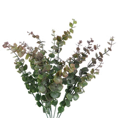 Eucalyptus Bush in Bugrundy Green