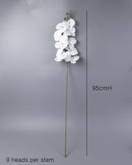 9 Heads White Orchid 95cmH