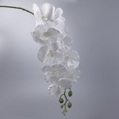 9 Heads White Orchid 95cmH