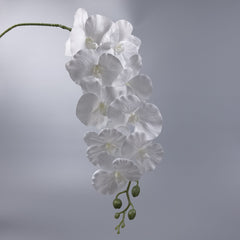 9 Heads White Orchid 95cmH