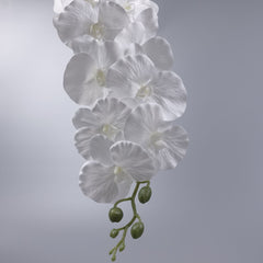 9 Heads White Orchid 95cmH