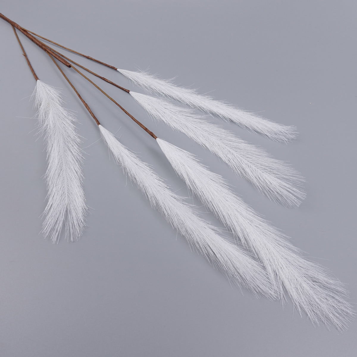 5 Heads Reed Pampas Grass Long Spray