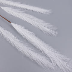 5 Heads Reed Pampas Grass Long Spray