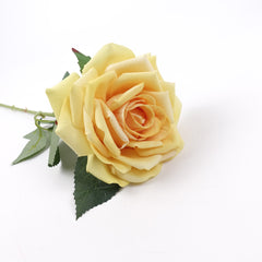 Large Head Single Velvet Rose Stem 77cmH