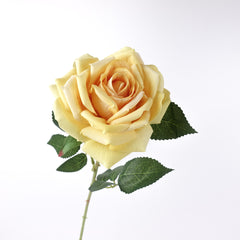 Large Head Single Velvet Rose Stem 77cmH