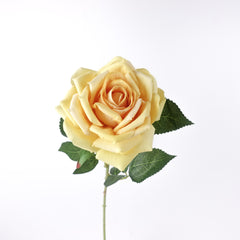 Large Head Single Velvet Rose Stem 77cmH