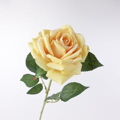 Large Head Single Velvet Rose Stem 77cmH