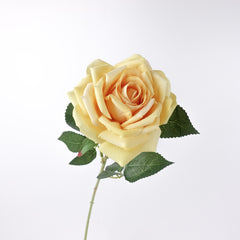 Large Head Single Velvet Rose Stem 77cmH