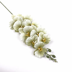 9 Heads Green Orchid 95cmH